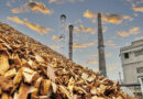 O que é biomassa e quais os desafios da bioeconomia